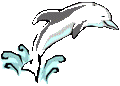 Attached image